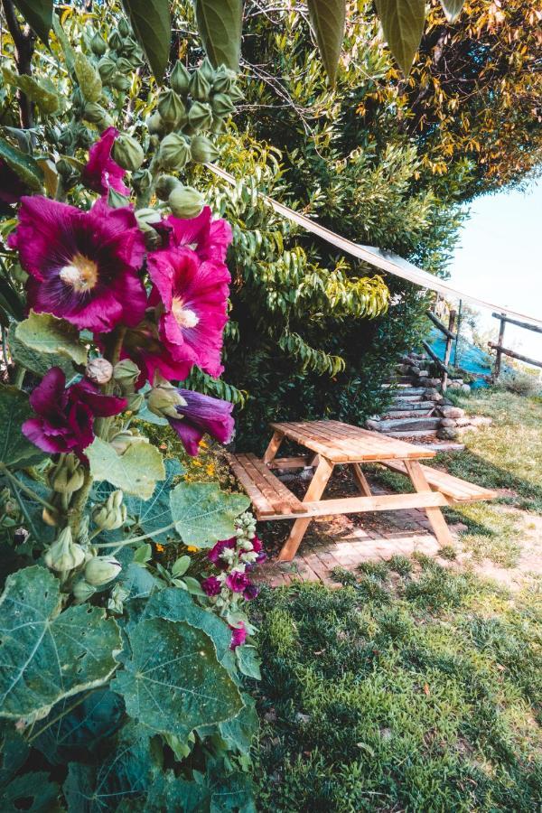 Agriturismo Dai Gobbi Fara Vicentino Ngoại thất bức ảnh